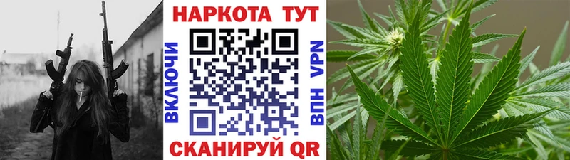 Где можно купить наркотики Николаевск Канабис  COCAIN  ГАШ 