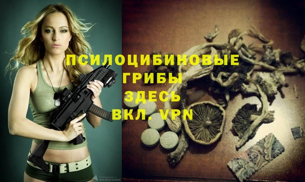 PSILOCYBIN Михайловка