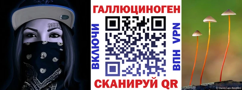 ссылка на мегу как зайти Николаевск Псилоцибиновые грибы мухоморы купить сайты